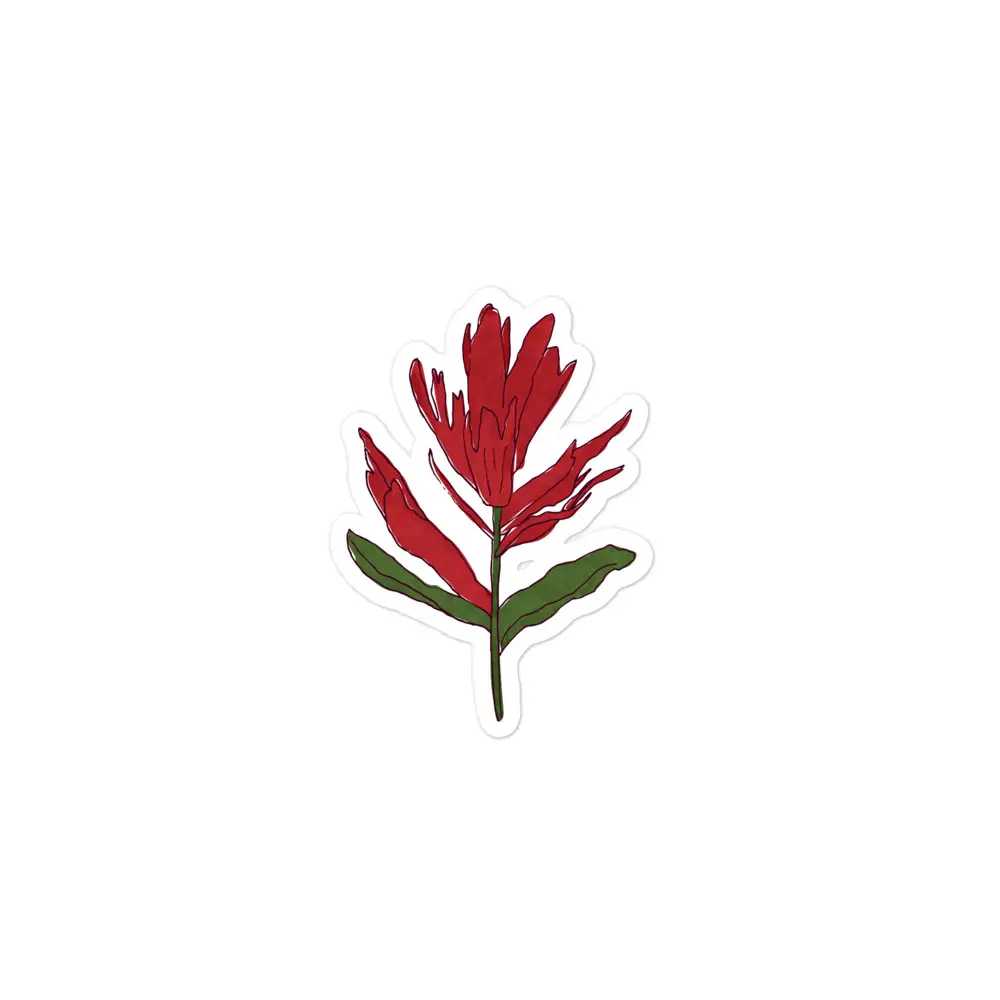 Indian Paintbrush | Sticker - Image 4
