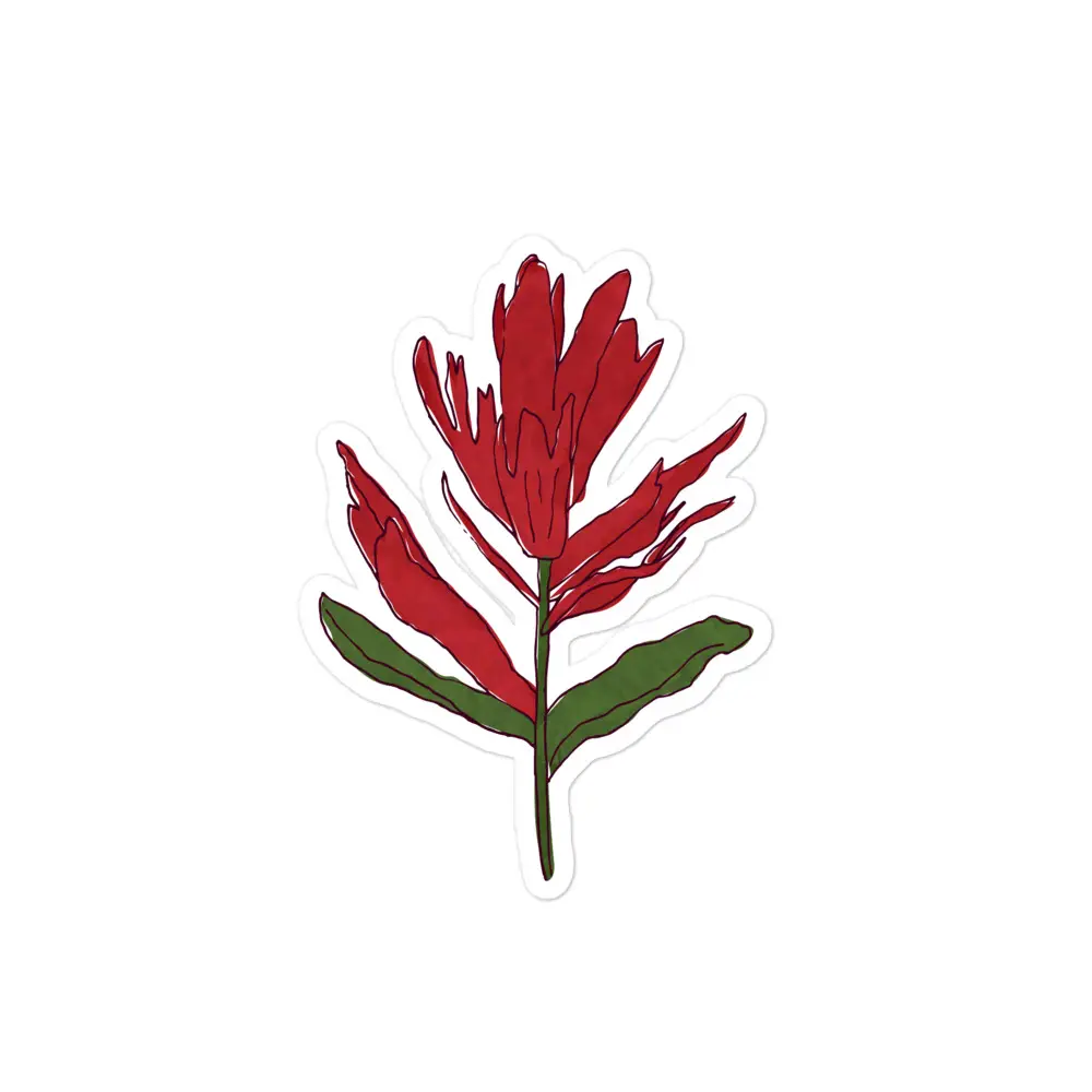 Indian Paintbrush | Sticker - Image 2