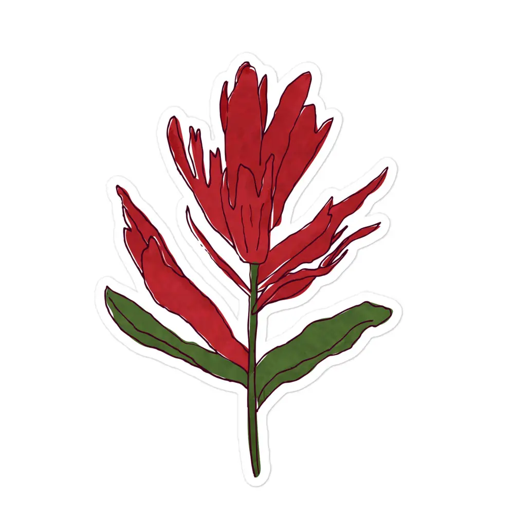 Indian Paintbrush | Sticker