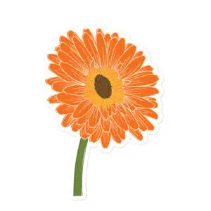 Gerber Daisy | Sticker